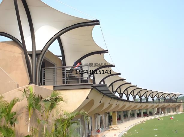 高爾夫膜結(jié)構(gòu)的相關(guān)知識點(diǎn)